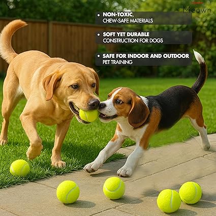 Bulk Low Compression Tennis Balls – Advanced Training, Practice & Pet Play | Durable Rubber & Felt