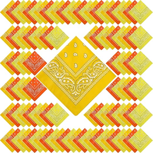 Paisley Scarf Unisex Multicolor Bandana – 100% Cotton Headband for Men & Women, 22"x22"