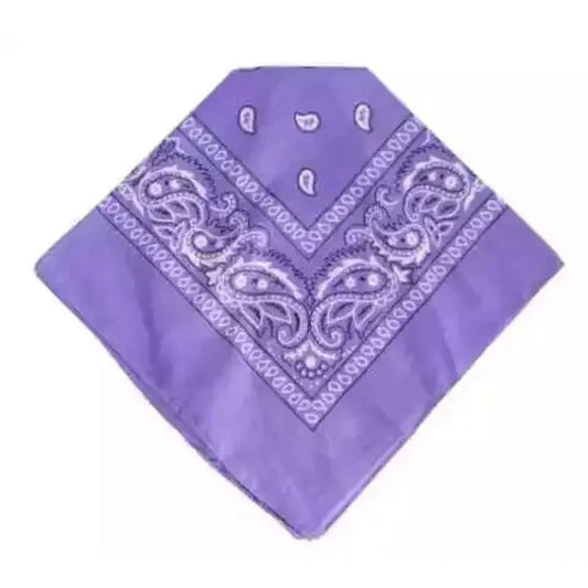 Paisley Bandana Light Blue Scarf – 100% Polyester Headband for Men & Women, 22"x22"