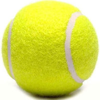 Bulk Low Compression Tennis Balls – Advanced Training, Practice & Pet Play | Durable Rubber & Felt