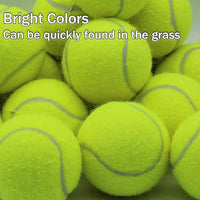 Tennis Balls Bulk Yellow Color Low Compression  –Beginners Training Practicing  & Pet Play | Durable Rubber & Felt